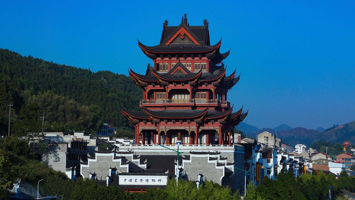 黑茶博物馆