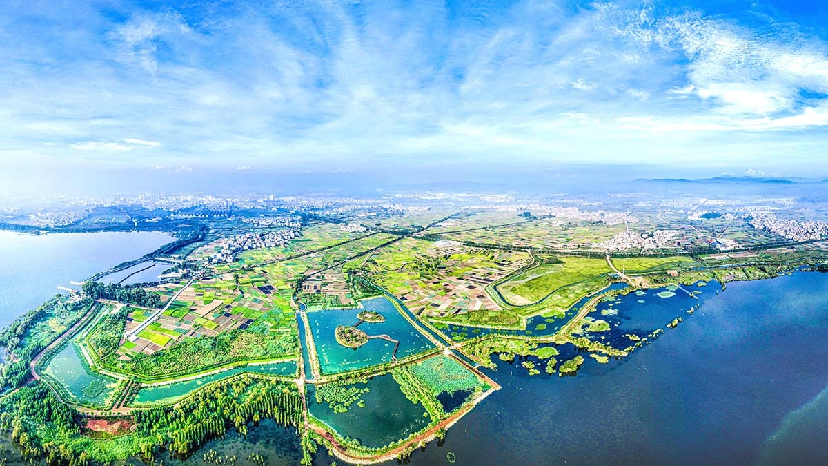 星云湖南岸湿地、湖滨带提质改造工程