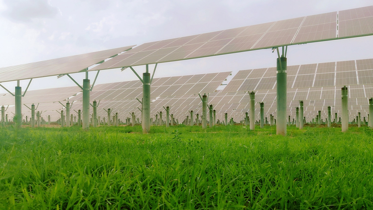 河北洁源30MW农光互补光伏项目30MW